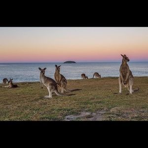 Meet your Posher, Alison